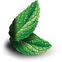Wholesale Mint Candy Wholesale Mint Candy