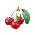 Cherry Candy Cherry Candy