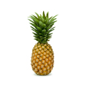 Pineapple Candy Pineapple Candy