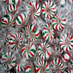 Primrose Holiday Starlights  Primrose Holiday Starlights