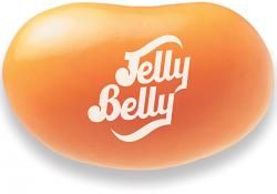 Jelly Belly Orange Sherbet ~ 10lb Jelly Belly Orange Sherbet ~ 10lb